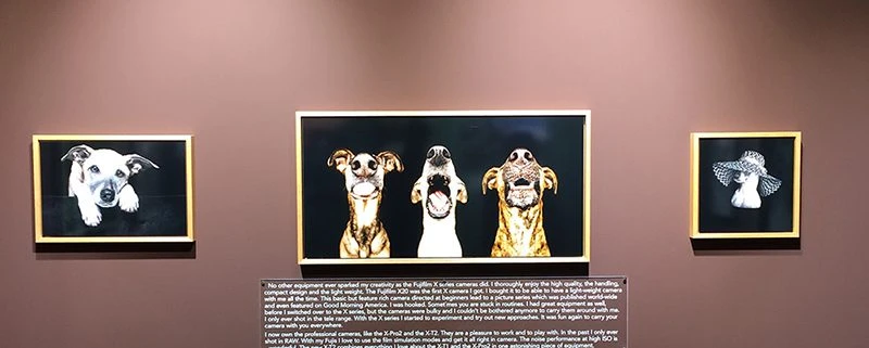Elke-Vogelsang-photo-international-photokina-gallerie