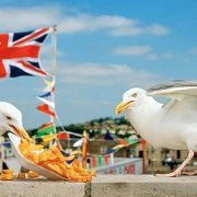 Martin-Parr-ThinkofEngland-Dorset-Kunstfoyer-MagnumPhotos-vorschau