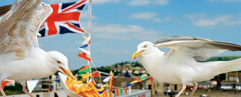 Martin-Parr-ThinkofEngland-Dorset-Kunstfoyer-MagnumPhotos-vorschau