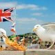 Martin-Parr-ThinkofEngland-Dorset-Kunstfoyer-MagnumPhotos-vorschau